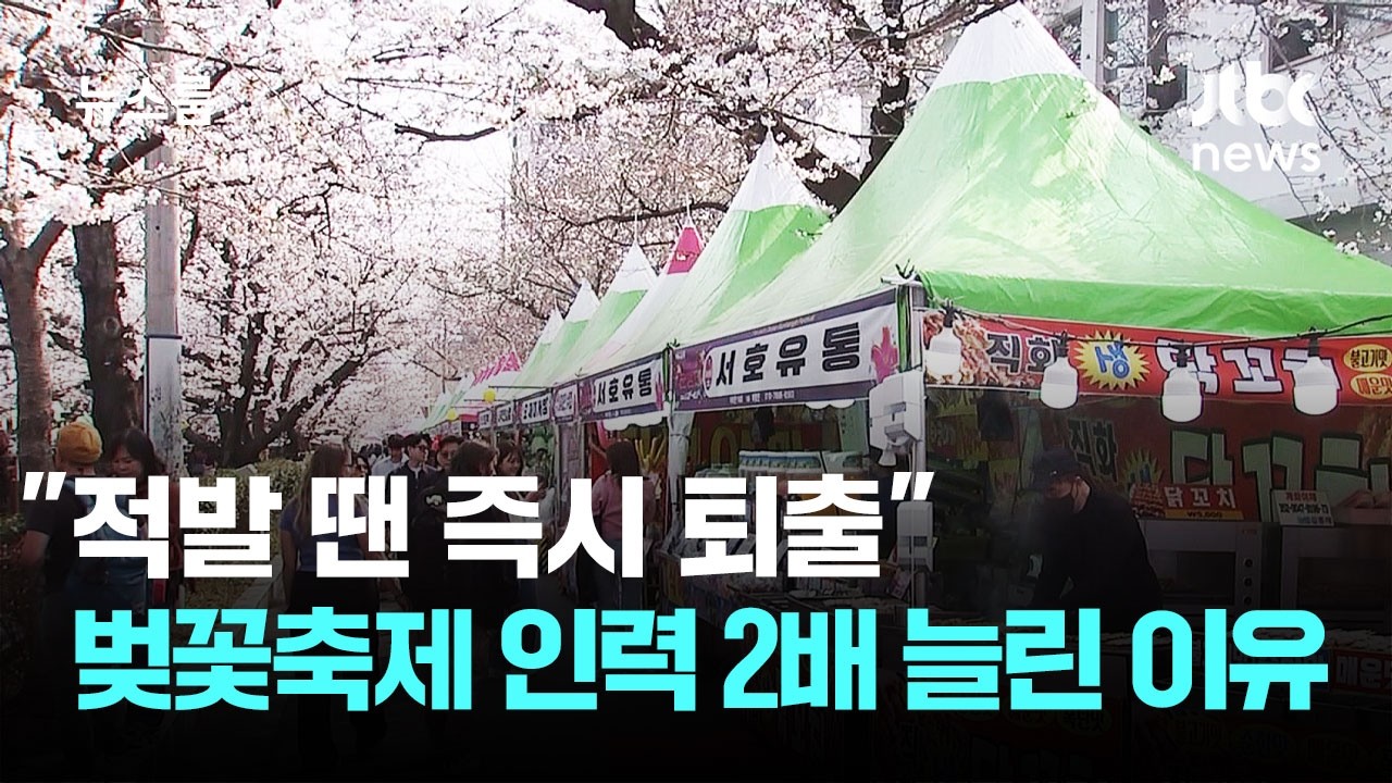 ⁣"적발 땐 즉시 퇴출" 벚꽃축제 인력 2배 늘린 이유 / JTBC 뉴스룸