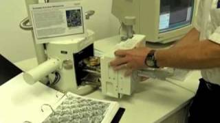 Lab Equipment: Scanning Electron Microscope