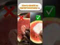 Don’t Eat Watermelon Before Watching This! 🍉⚠️ Food Safety Alert