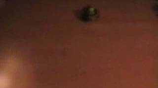 Boebot follows flashlight