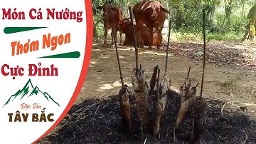 KhôngThốt Nên Lời Món Cá Nướng Thơm Ngon Cực Đỉnh /Đặc Sản Tây Bắc/Du Lịch SayHi