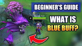 BEGINNER'S GUIDE WHAT IS BLUE BUFF screenshot 4