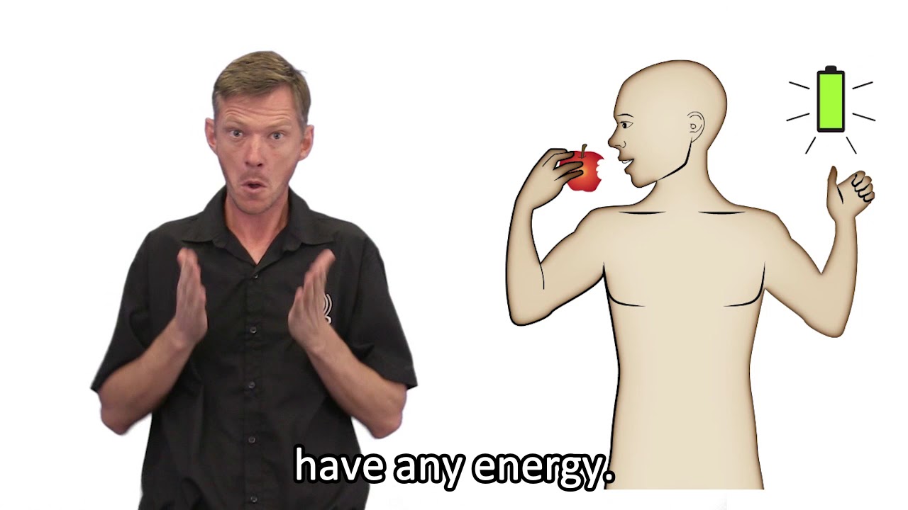 1 How our body gets energy YouTube