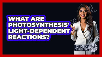 What Are Photosynthesis