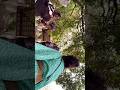 গৌতম বুদ্ধার দাঁত দেখলাম - FUNNY VLOG #minivlog #travelvlog #funnyshorts #comedy #dailyshorts #fun