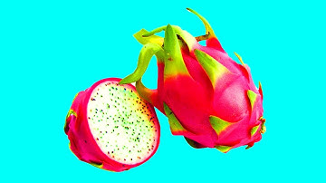 스톱모션 애니메이션을 만족시키는 과일 및 채소 내부 패턴 Patterns Inside Fruits and Vegetables Stop-Motion Animation 36