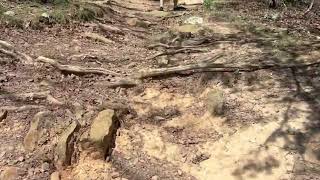 Devils Den & Yellow Rock Trails