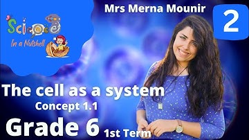 Science-Grade 6-unit 1-concept 1- Video 2 - rest of lesson 1