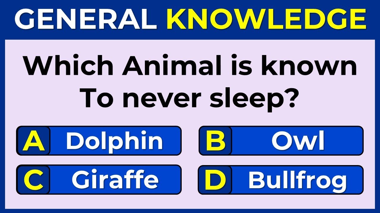 Only 5% Of People Can Score 25/25 on This General Knowledge Quiz!