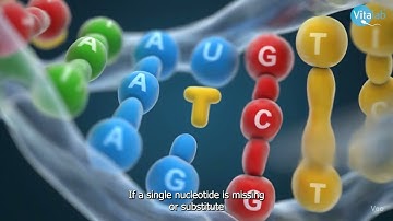 A Guide to PGT-A: Understanding Embryo Genetic Testing