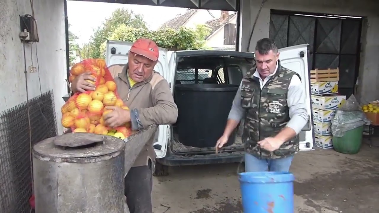 Rakija od dunje - Proizvodnja dunje - zasad dunje