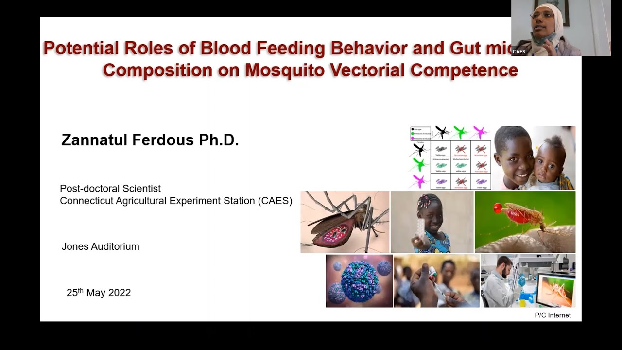 Impact of Multiple Blood Feeding on Mosquito Vectorial Capacity