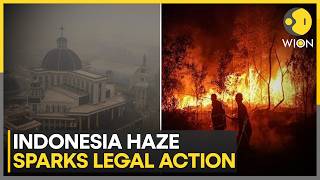 Indonesians On Fire-Ravaged Island Sue State For Clean Air | WION Climate Tracker