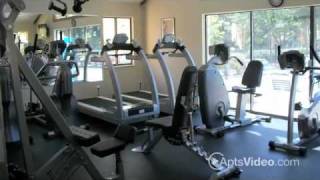 Silvertree Apartments in Westerville, OH - ForRent.com
