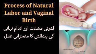 Process of Natural Labor and Vaginal Birth