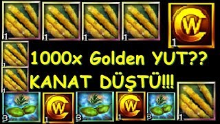 Knight Online 1000x Golden Yut Kırdırmak (KANAT DROPLU) Knight Online 1000x Golden Yut Kırdırmak (KANAT DROPLU)