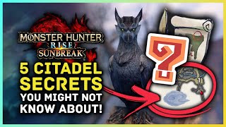 Monster Hunter Rise Sunbreak - 5 Citadel Map Secrets You Might Have Missed!