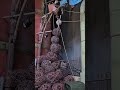 a day in phantasialand #themepark #seasonstart #coaster