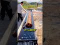丸太をディーゼル燃料に浸ける理由