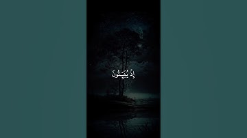 اكتب شيء تؤجر عليه 💙😴 / القارئ ياسر الدوسري
