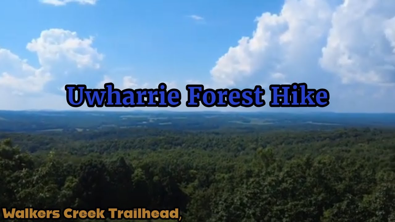 Discovering Uwharrie Forest: Trails, Trees., & Tranquility!