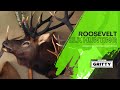 Hunting roosevelt elk with angry spike productions  episode 141