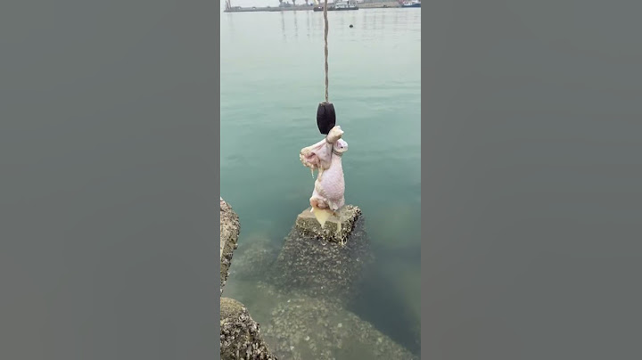fishing crab with chicken