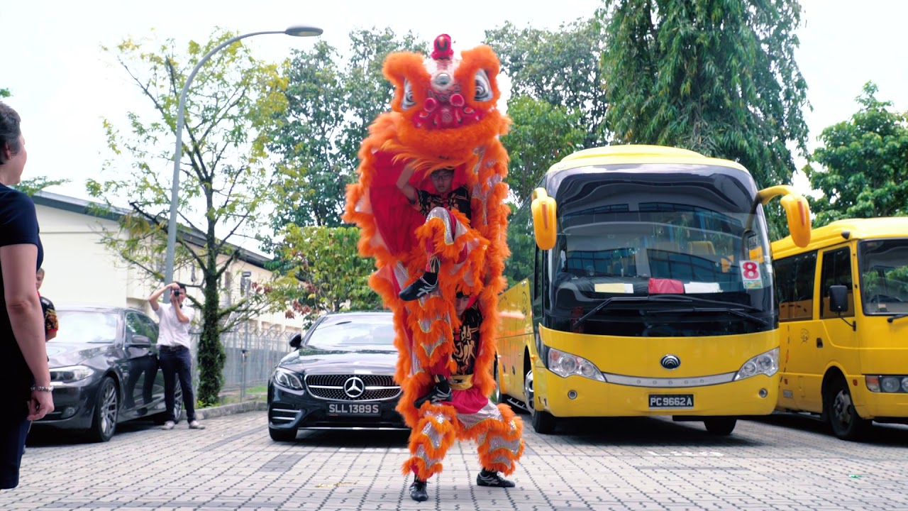Lion Dance Singapore Opening Ceremony Performance Explained for Lion