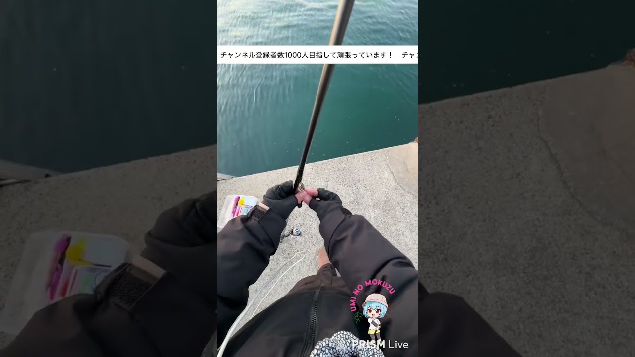 【初心者釣り女子】エギング！