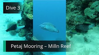 Petaj Mooring Dive 3 - Milln Reef - Great Barrier Reef Resimi