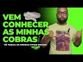 Todas as cobras num só video!! - Piton Regius