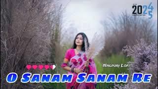 O Sanam Sanam Re Old Nagpuri Song || Nagpuri Lofi Song || Nagpuri Slow X Reverb Song 2025