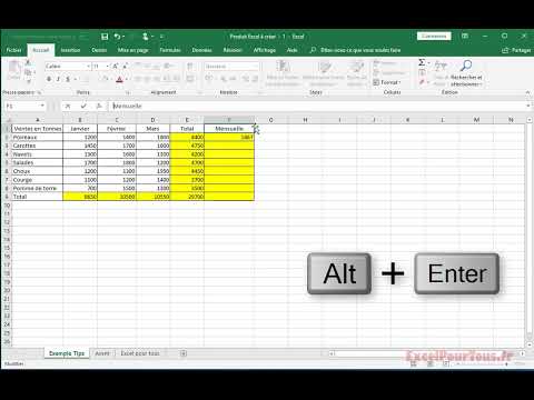 excel---ecrire-1-texte-sur-2-lignes