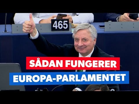 Video: Hvilket parti har flest pladser i Europa-Parlamentet?