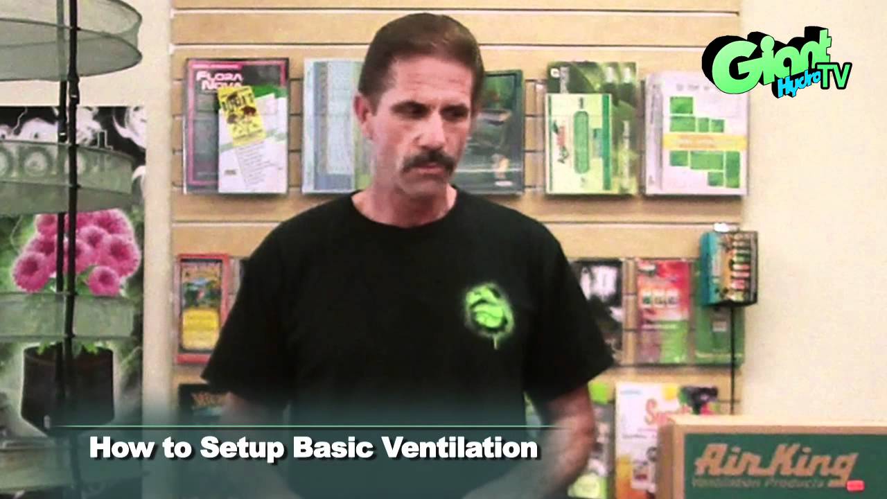 How To Setup A Basic Ventilation System For Your Indoor Grow Room