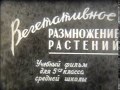 Вегетативное размножение растений   1959