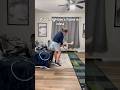 Should we let them know or keep it a mystery #indoorgolf #golfathome #golfpractice #golfpro