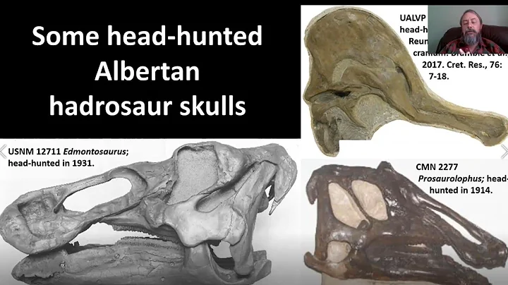 Successful Efforts to Relocate Century-Old Dinosaur Quarries in the Badlands of Southern Alberta