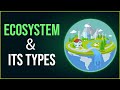 What is Ecosystem? | Different Types of Ecosystem | Environmental Science | EVS | Letstute