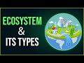 Ecosystems and Their Components: Interactions in Nature