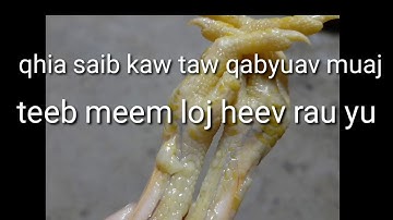 qhia saib kaw taw qaib yuav muaj teeb meem loj heev rau yu yav tom ntej 7  3  2020