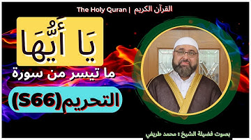 Holy Quran 66 At Tahrim the Prohibition | القرآن الكريم | ما تيسر من 66 سورة التحريم   اية 6