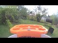 Bird 🐦 Video afternoon today 