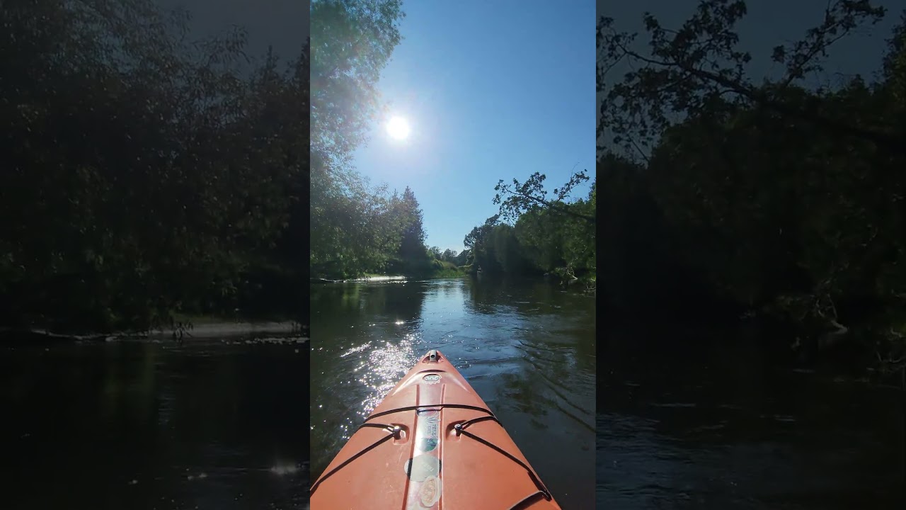 Paddlin around things