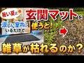 夏の雑草対策｜置くだけ簡単な玄関マットで雑草は枯れるのか？