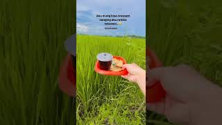 Konco Tani..😍 #music #mc #gurutiktok #campursari