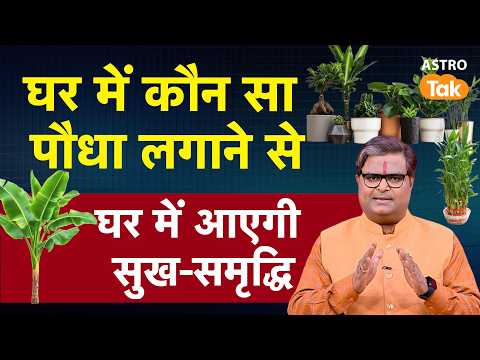 vastu tips:घर में कौन सा पौधा लगाने से घर में आएगी सुख-समृद्धि | Shailendra Pandey | Astro Tak