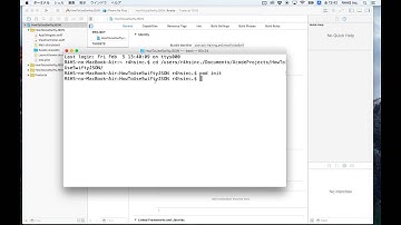 [Silent iOS 012-01] How to install SwiftyJSON into a Xcode project