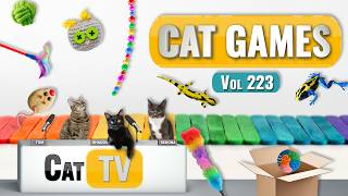 CAT Games | Ultimate Cat TV Compilation Vol 223 | 8 HOURS 🐝🐞🦋🦎🦜🐜🐭🧵 screenshot 5