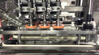 Celebrity Automatic inline capper model TruCap 6, manufactured by Acasi Machinery Profile